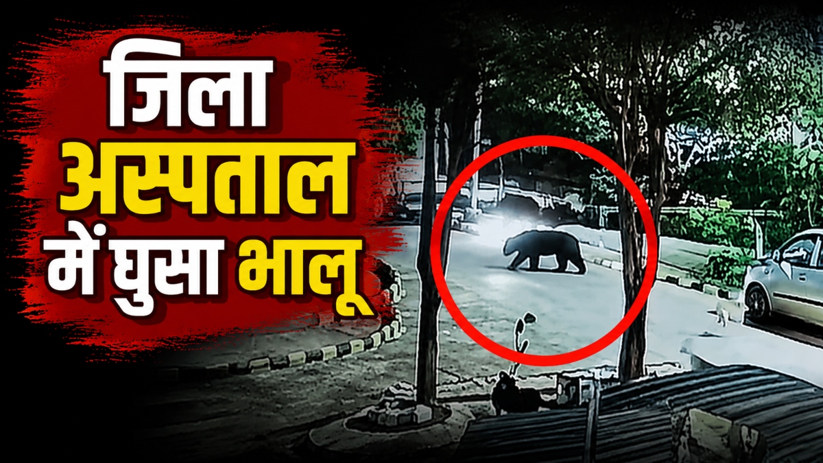 जिला अस्पताल में घुसा भालू: मची अफरा-तफरी, वीडियो आया सामने