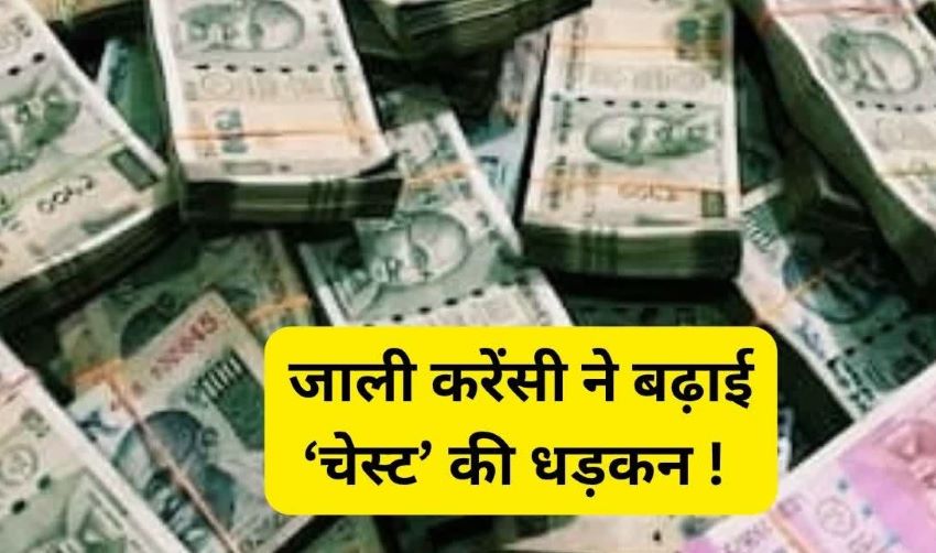 बैंक में असली कैश की जगह रखे थे 7 करोड़ के नकली नोट? जानें ऑडिट में कैसे खुला PNB चेस्ट का काला चिट्ठा