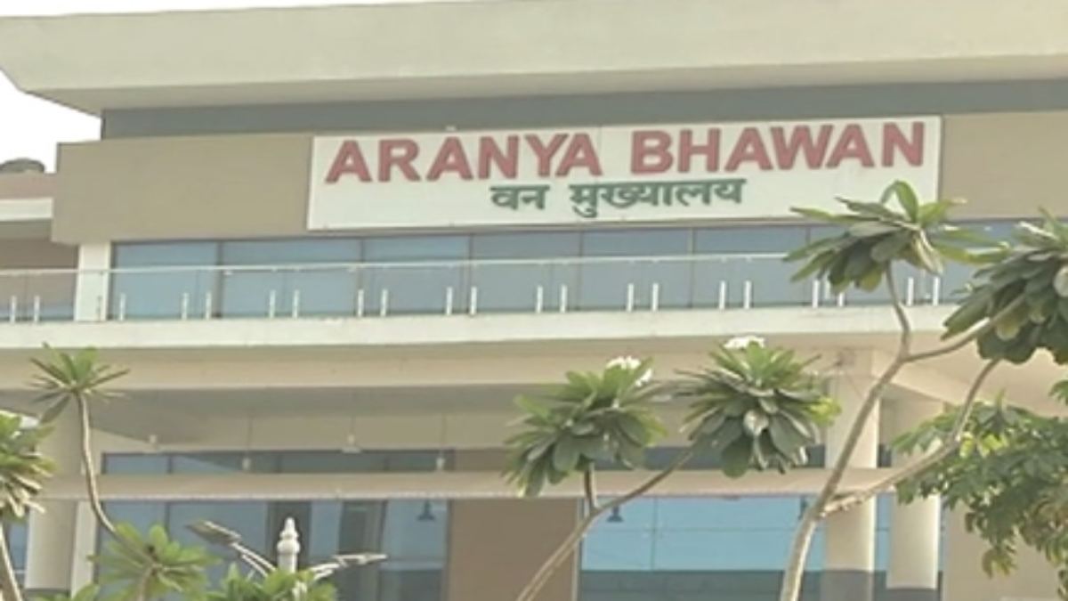Transfer Breaking : प्रशिक्षु IFS अधिकारियों को मिली पहली फील्ड पोस्टिंग, जानिए किसे मिली किस वनमंडल की जिम्मेदारी