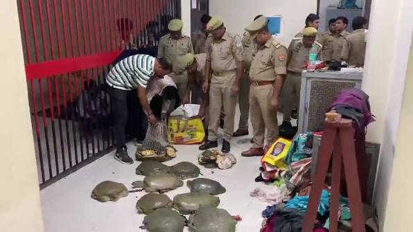 दून एक्सप्रेस में वन्यजीव तस्करी का बड़ा खुलासा, 6 बैगों में छिपाकर ले जाए जा रहे थे 120 जिंदा कछुए