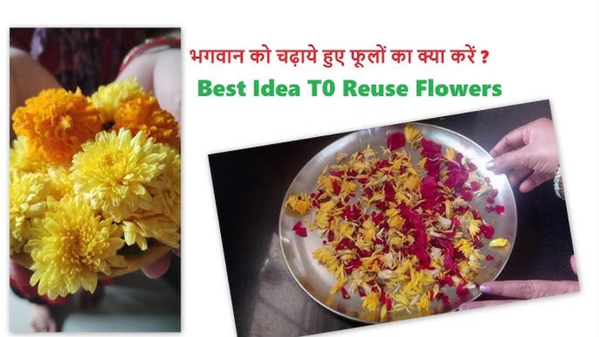 पूजा के बाद फूलों को नदी में न फेंकें, घर में ही इन तरीकों से करें दोबारा इस्तेमाल