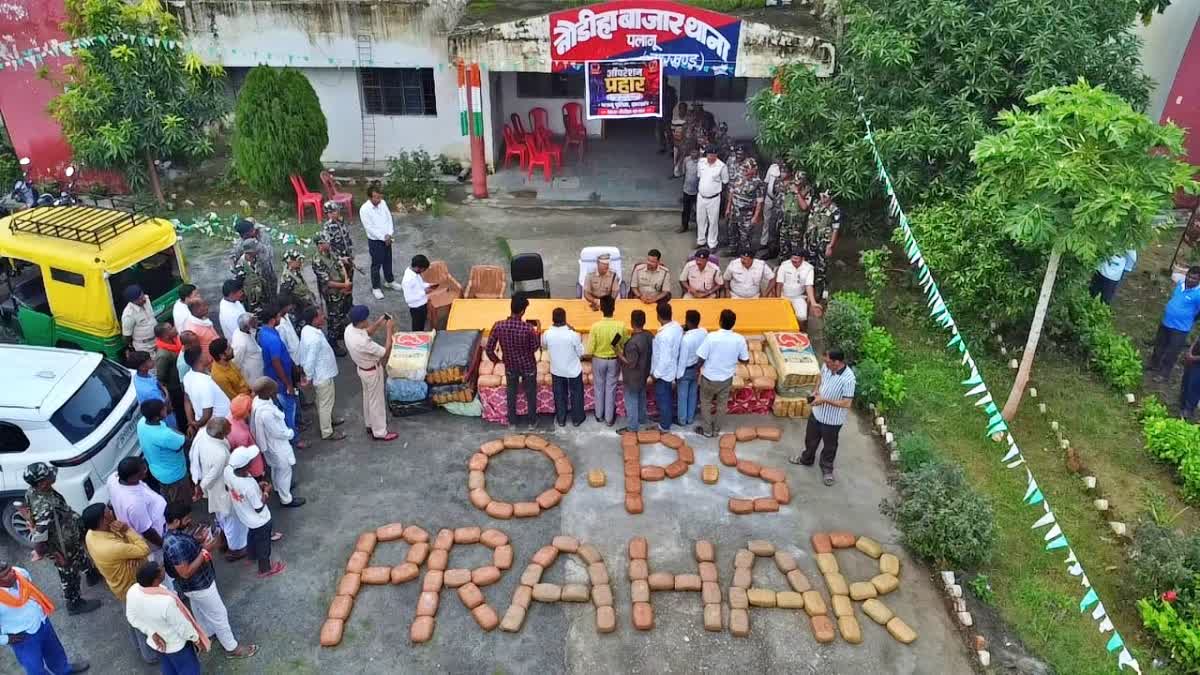 ऑपरेशन प्रहार में पलामू पुलिस की बड़ी कार्रवाई, 2.5 करोड़ का 440 किलो गांजा जब्त, दो तस्कर गिरफ्तार