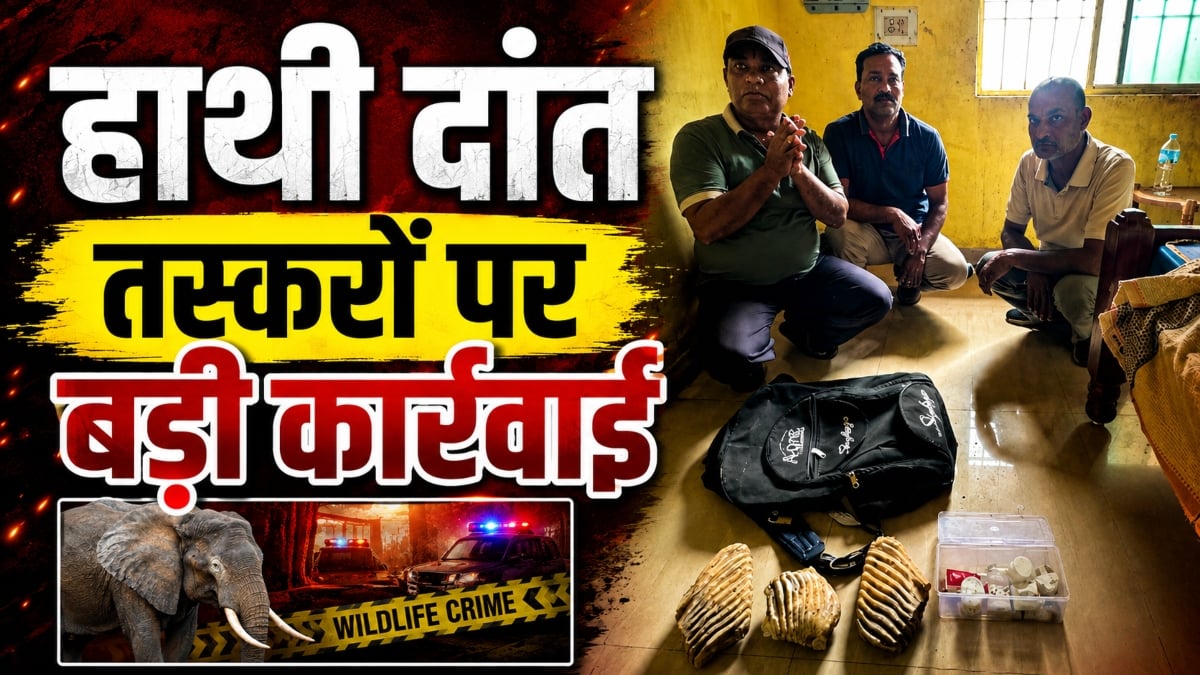 वन विभाग की बड़ी कार्रवाई: हाथी दांत के साथ 3 तस्कर गिरफ्तार, न्यायिक हिरासत में भेजा गया जेल