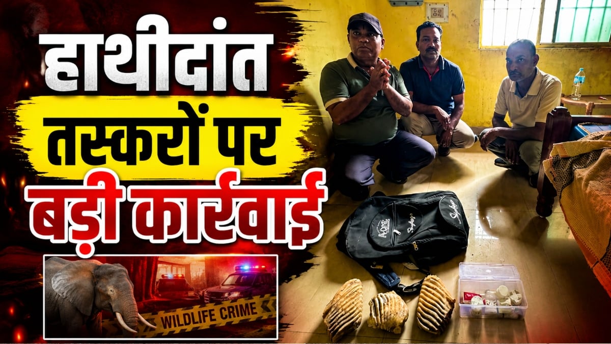 वन विभाग की बड़ी कार्रवाई: हाथी दांत के साथ 3 तस्कर गिरफ्तार, न्यायिक हिरासत में भेजा गया जेल