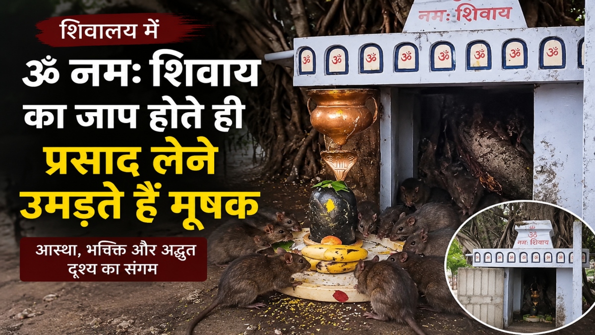 शिवालय में रोज होता है अनोखा चमत्कार : ओम नमः शिवाय का जाप होते ही प्रसाद लेने उमड़ते हैं मूषक, देखें VIDEO…