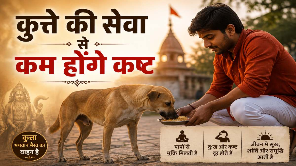 शनि के प्रभाव से परेशान राशियों के लिए राहत का रास्ता, कुत्ते की सेवा से कम होंगे कष्ट …
