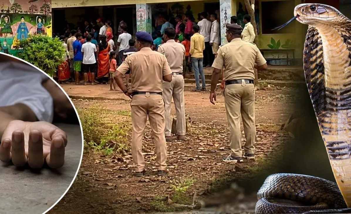महाराष्ट्र में स्कूल के हॉस्टल में जहरीला सांप ने 6 छात्राओं को डसा, 3 की मौत; 3 मौत से रहीं जूझ