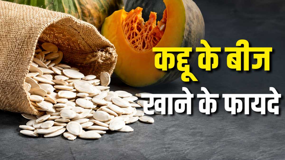 कद्दू के बीज से घटेगी पेट की चर्बी, जानिए खाने का सही तरीका और फायदे