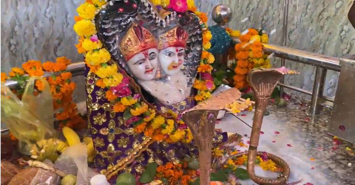 नाग पंचमीः ट्रक से कुचलकर हुई नाग की मौत, वियोग में नागिन ने भी त्यागे प्राण, ग्वालियर में ऐसे बना ‘अमर प्रेम मंदिर’