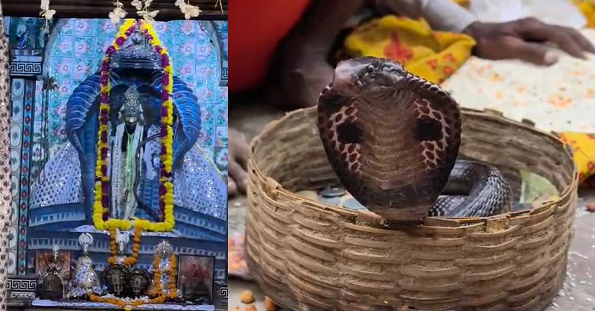 नाग पंचमी पर शेषावतार मंदिर में उमड़ा आस्था का सैलाब, भक्तिमय हुआ सरयू तट
