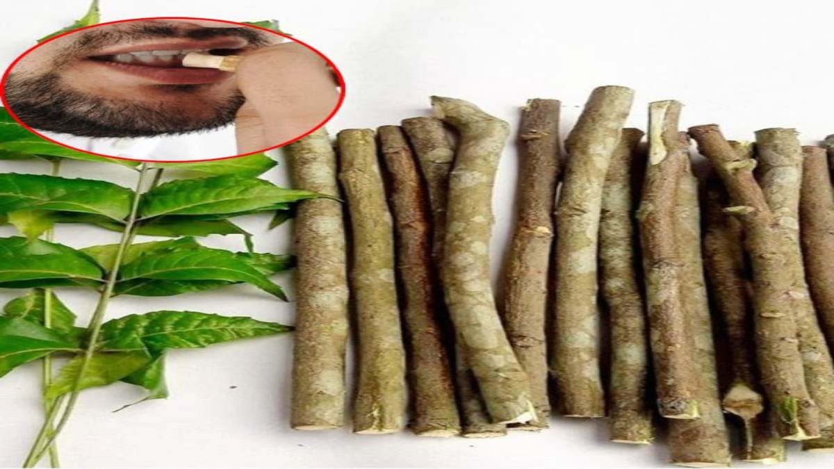 क्या टूथब्रश से बेहतर है नीम की दातून? जानिए इसके फायदे, नुकसान और इस्तेमाल का सही तरीका