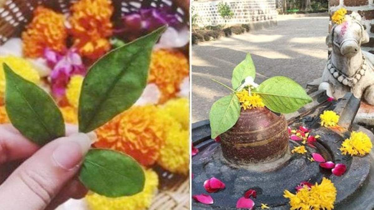 गंभीर बीमारियों से है परेशान, 5 बेलपत्र और जल के अचूक उपाय करके देखें …