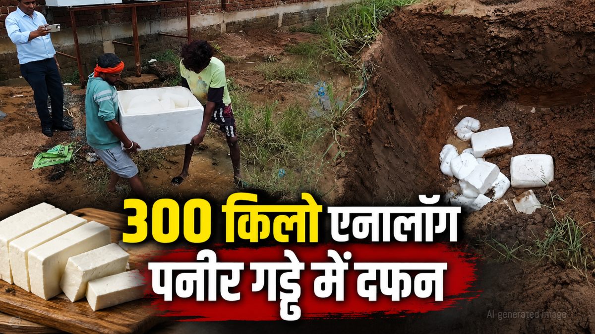 एनालॉग पनीर पर एक्शन: खाद्य विभाग ने 300 किलो अमानक पनीर को किया दफन, प्रोडक्शन यूनिट भी सील