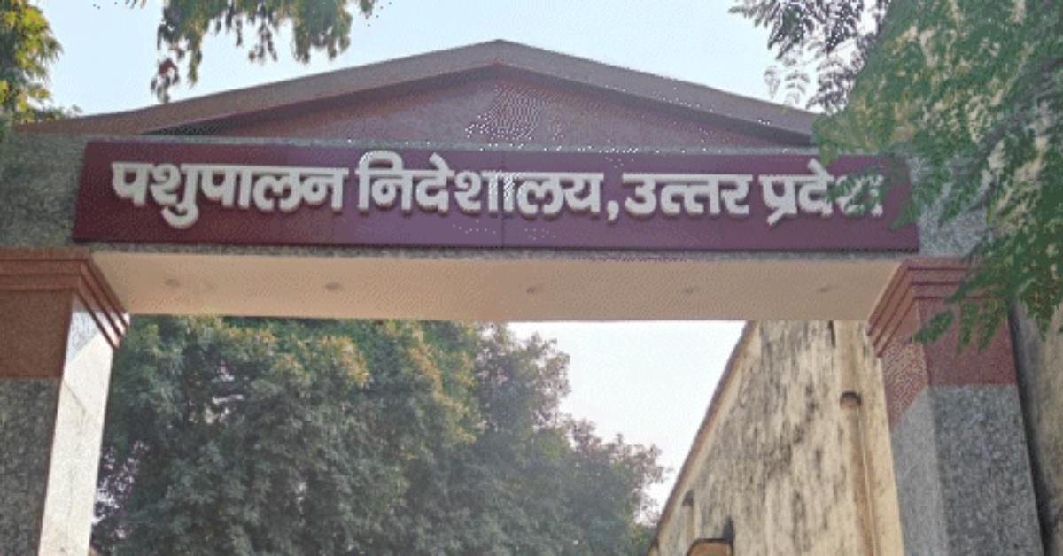 600 करोड़ का घपला, 75 जिलों का पैसा 15 जिलों में खपाया, पशुपालन विभाग के डायरेक्टर पर गंभीर आरोप
