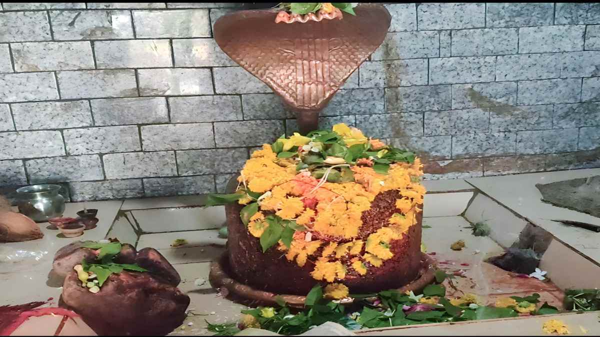 ये 4 चीजें हैं महादेव को प्रिय, शिवलिंग पर चढ़ते ही हो जाते हैं प्रसन्न …