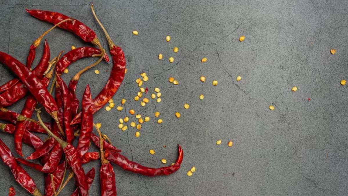 सूखी लाल मिर्च के बीज बिना हाथ लगाए निकालने का आसान तरीका, किचन में काम आएंगे ये तरीके