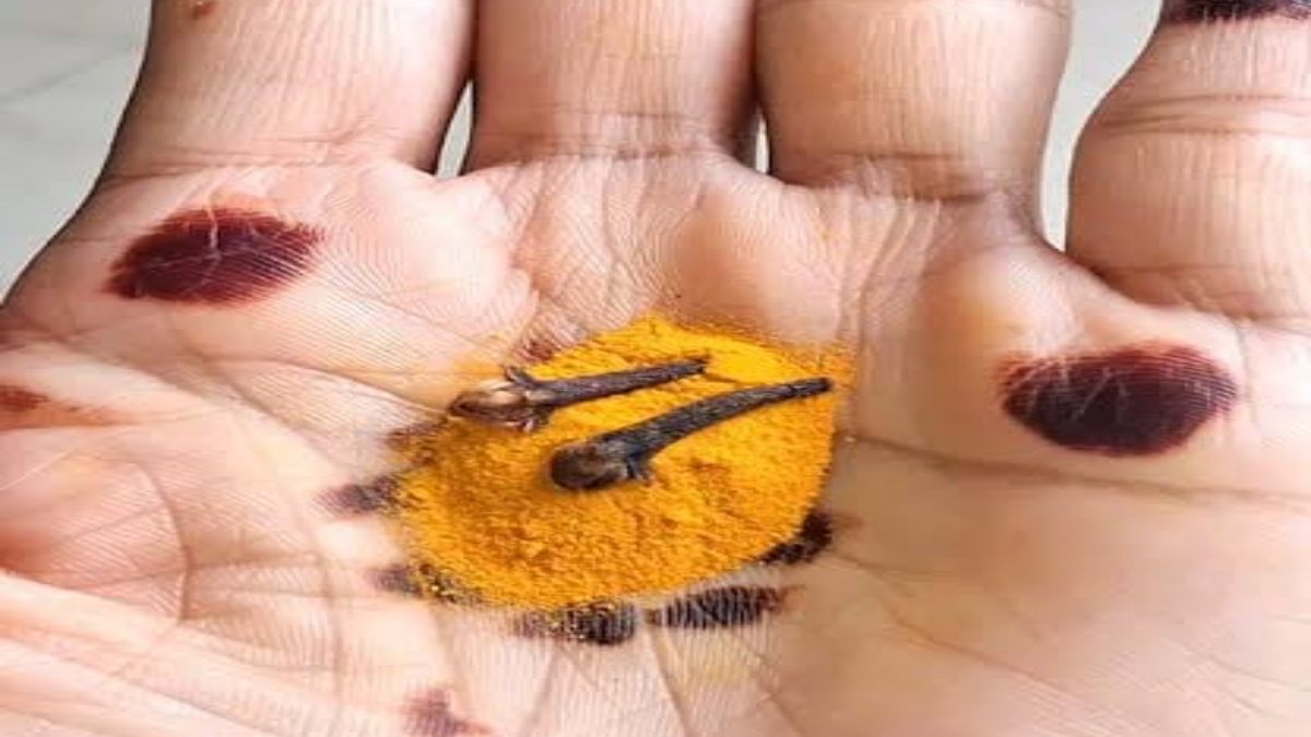 आर्थिक तंगी से पाना चाहते हैं छुटकारा, तो गुरुवार के दिन लौंग और हल्दी का यह उपाय आजमाएं …