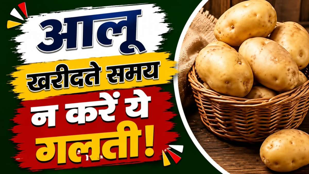 आलू खरीदते समय सिर्फ आकार और रंग न देखें, इन संकेतों से पहचानें अंदर से खराब आलू