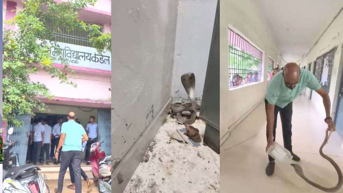 आत्मानंद स्कूल की कक्षा में निकला कोबरा, छात्रों में मचा हड़कंप, देखें VIDEO…