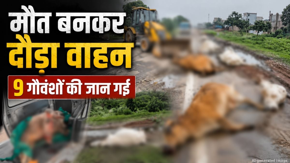 CG News: मौत बनकर दौड़ा वाहन, 9 गौवंशों की गई जान, लोगों में आक्रोश