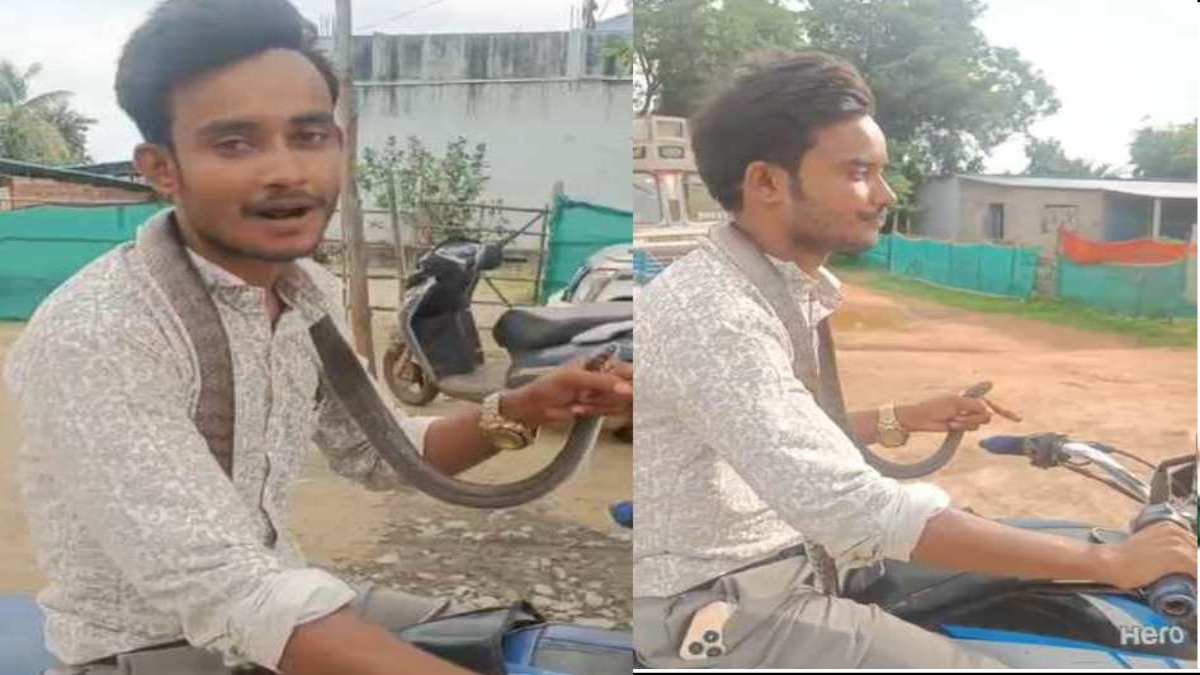 सांप ने काटा तो उसी सांप को गले में डालकर अस्पताल पहुंचा युवक, Video Viral
