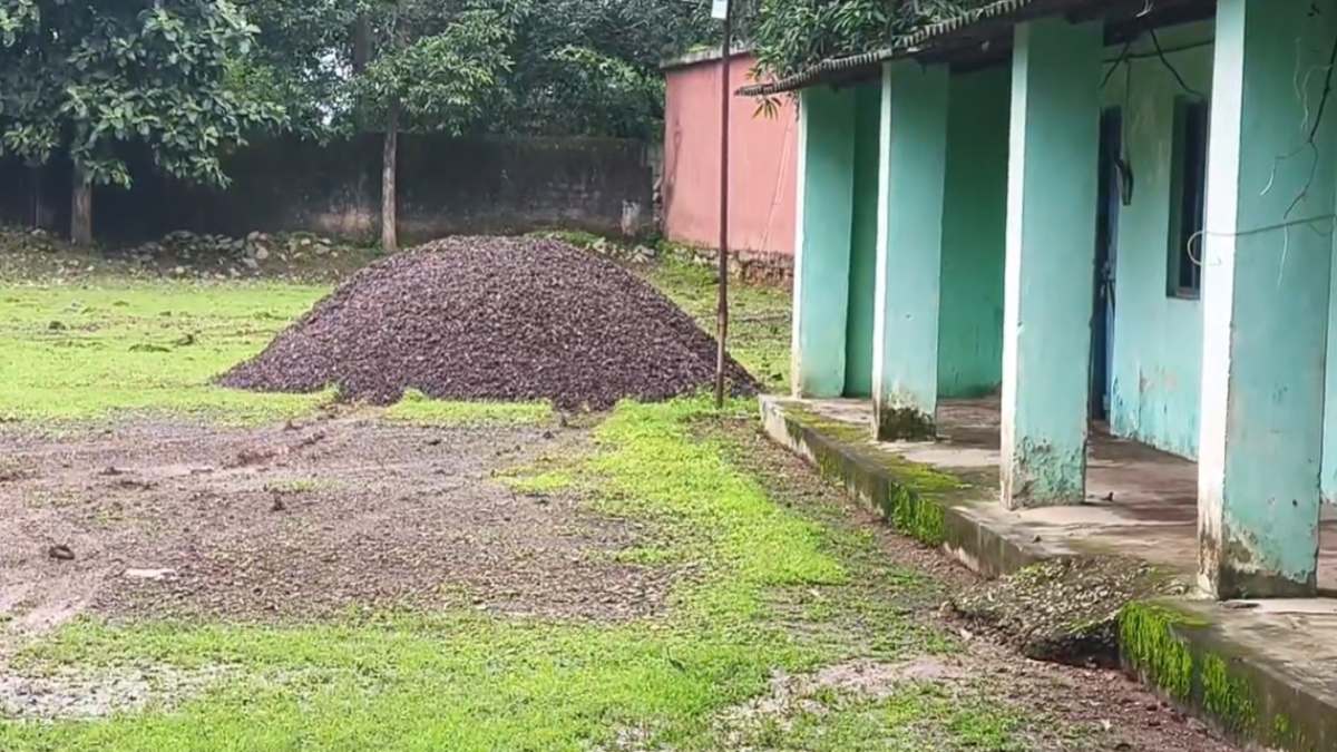 NMDC पहुंचने से पहले गायब हुआ 31.5 टन लौह अयस्क, निजी बाड़े में खाली हुई ट्रांसपोर्टर की गाड़ी, दो आरोपी गिरफ्तार