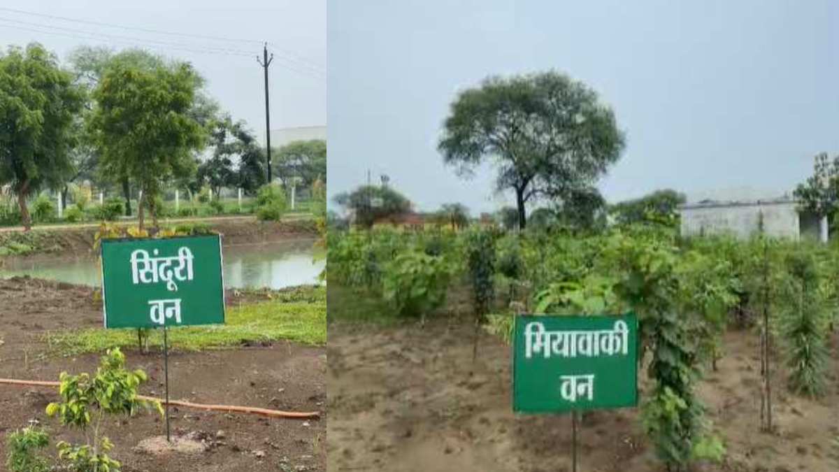ऑपरेशन सिंदूर के वीरों को अनूठी सलामी : भखारा ITI परिसर में आकार ले रहा ‘ऑपरेशन सिंदूर उद्यान’