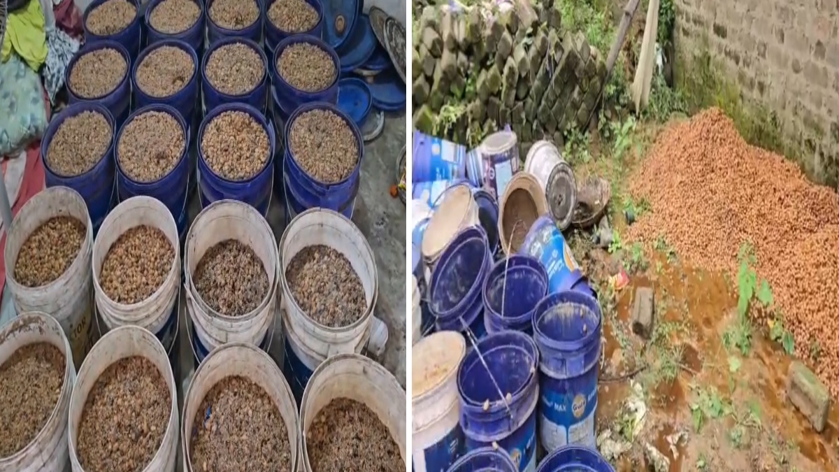 15 अगस्त से पहले बड़ी कार्रवाई: आबकारी उड़नदस्ता ने किया महुआ शराब फैक्ट्री का भंडाफोड़, एक आरोपी गिरफ्तार