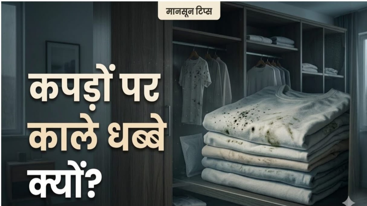 मानसून में अलमारी के कपड़ों पर क्यों जम जाती है फफूंद ? इन आसान उपायों से रखें कपड़ों को सुरक्षित