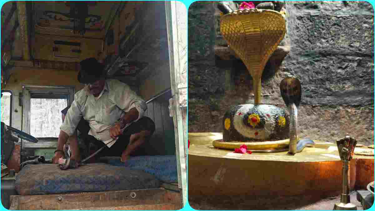 नागिन का ट्रक में सफर: भोपाल से पहुंची सागर, डिग्गी खोलते ही ड्राइवर के उड़े होश, इधर उज्जैन में शिवलिंग के पास हुए ‘नागराज’ के दर्शन
