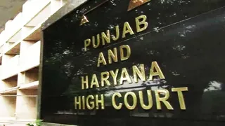 हाईकोर्ट पहुंचा काउंसलर पद पर LLB अनिवार्य करने का मामला, तीन काउंसलरों ने दी चुनौती