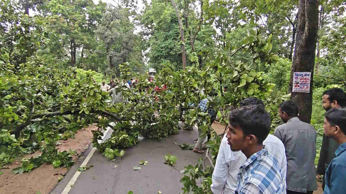 नेशनल हाइवे 130 सी में फिर लगा जाम, विशालकाय पेड़ गिरने से लगी वाहनों की लंबी कतार…