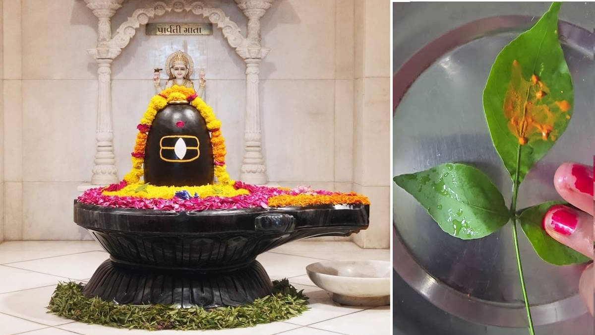 सावन में बेलपत्र और पीले चंदन ये अचूक उपाय किसी वरदान से कम नहीं, जानें वि​धि…