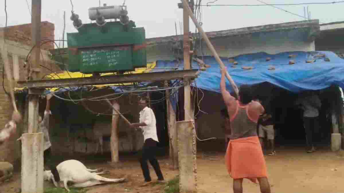 करंट से बैल की दर्दनाक मौत, गुस्साए ग्रामीणों ने ट्रांसफार्मर पर बरसाए लाठी-डंडे, VIDEO वायरल