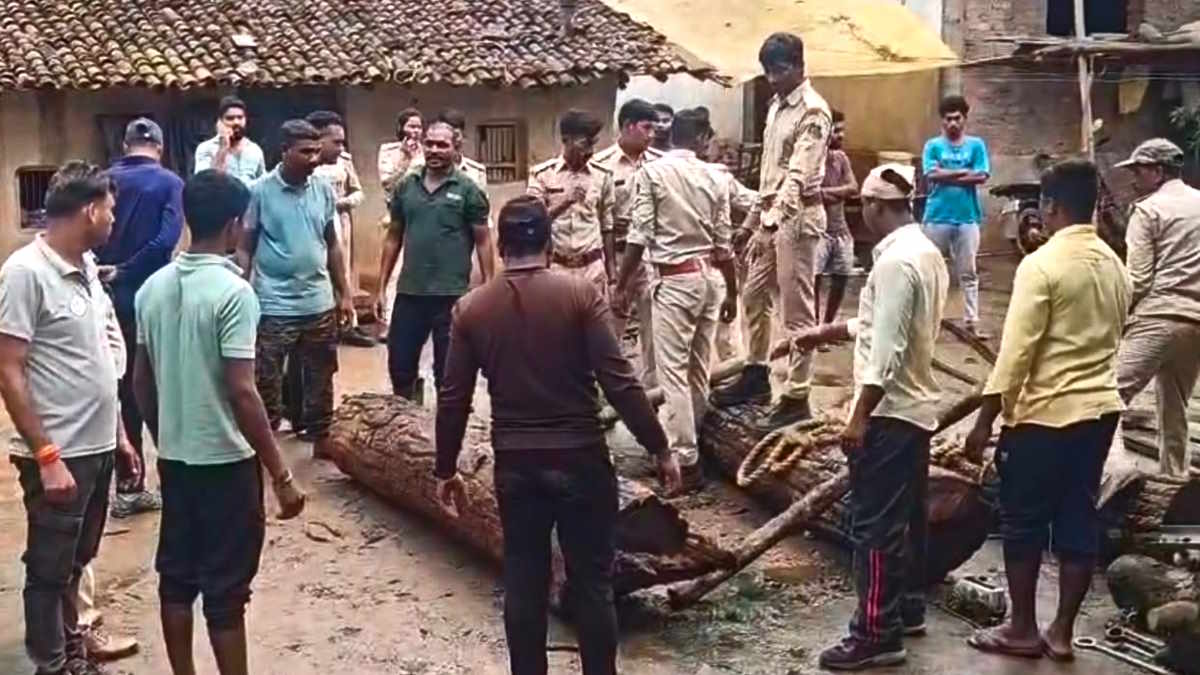 सीमा पार USTR की बड़ी कार्रवाई: ओडिशा में अंतर्राज्यीय सागौन तस्करी का भंडाफोड़, मिली दो साल पहले जब्त इमारती लकड़ी!