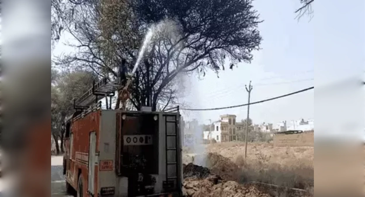 दो दिन पहले पलटा था केमिकल टैंकर, अब उसी नाले में भड़की आग; काले धुएं से घिरा गांव