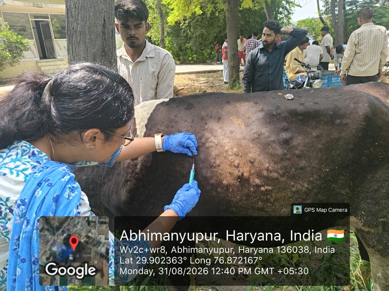 लम्पी स्किन डिजीज को लेकर अलर्ट, पशुओं में ये लक्षण दिखें तो तुरंत करें ये काम