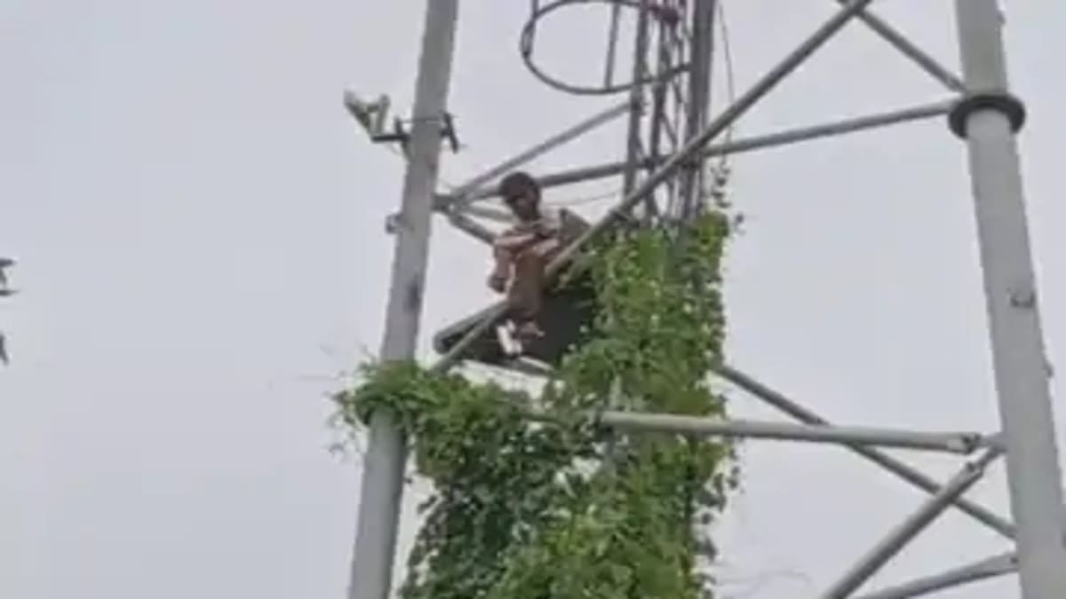 प्रेम प्रसंग के मामले में प्रेमी की जिद में मोबाइल टावर पर चढ़ी किशोरी, घंटों चला हाई-वोल्टेज ड्रामा