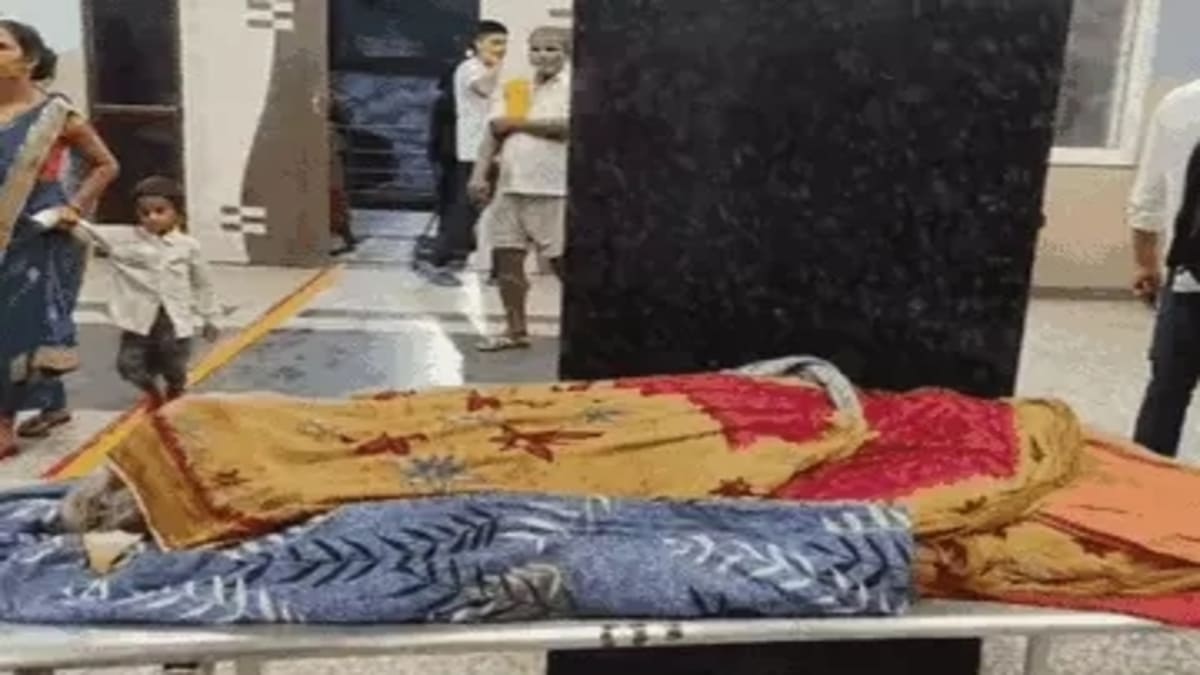 सड़क हादसे में जख्मी बुजुर्ग महिला की मौत, ​वृद्धा पेंशन के लिए ऑनलाइन आवेदन करने जा रही थीं महिला
