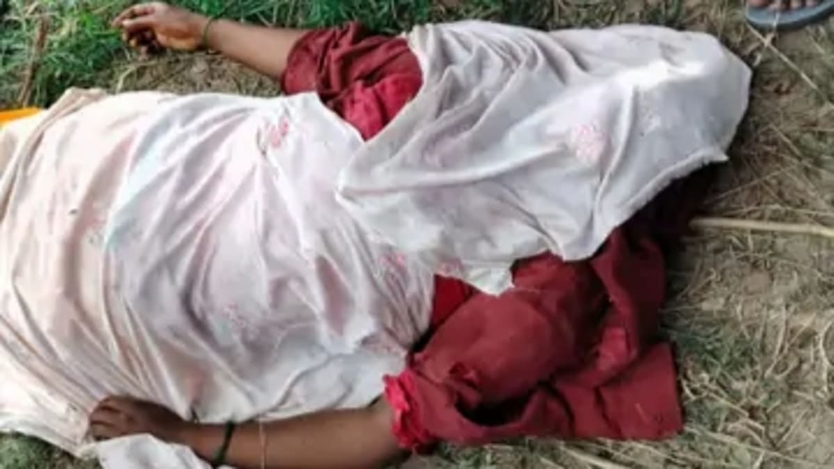 बाघ ने महिला को बनाया शिकार, ​गर्दन और सिर पर किया वार, मौके पर ही तोड़ा दम, दो महीने में चौथी मौत
