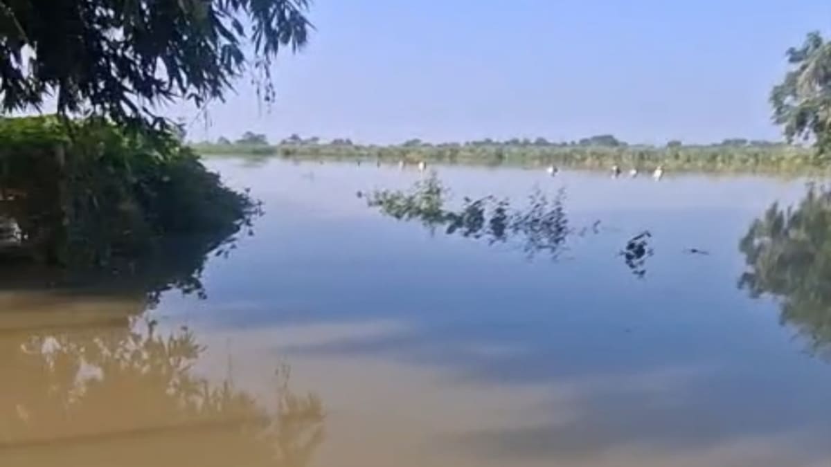 नेपाल की बारिश का पूर्वी चंपारण पर असर, अरेराज में गंडक नदी के दबाव से मनरेगा का रिंग बांध टूटा, गांवों में घुसा बाढ़ का पानी
