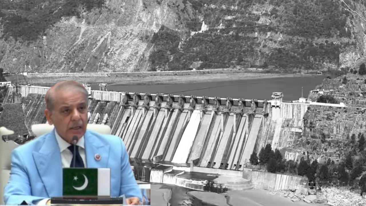 Indus Water Treaty: भारत के सख्त रुख से परेशान पाकिस्तान, SCO में शहबाज शरीफ ने उठाया पानी का मुद्दा