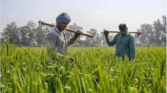 हरियाणा में किसानों के लिए काम की खबर
