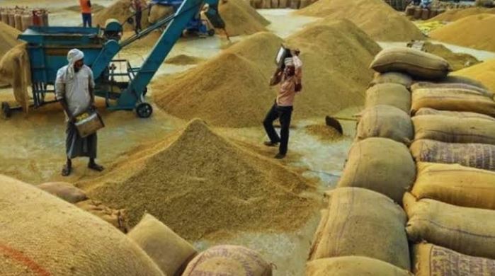 32 करोड़ के धान घोटाले के बाद करनाल में सख्ती, सीमाओं पर नाके और मंडी सचिवों की निगरानी