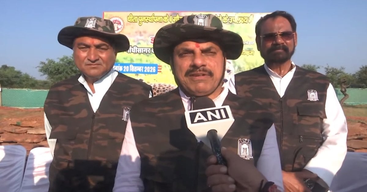 MP में फिर गूंज रही चीतों की दहाड़: सीएम डॉ मोहन बोले- 56 चीते और शावक मौजूद, ‘जियो और जीने दो’ की भावना से बढ़ावा