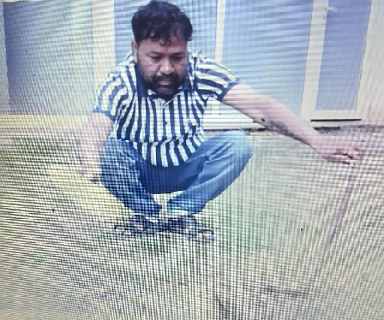 धोनी के फार्म हाउस में निकला विशाल कोबरा, कर्मचारियों में मचा हड़कंप, स्नेक रेस्क्यू टीम ने किया सुरक्षित रेस्क्यू