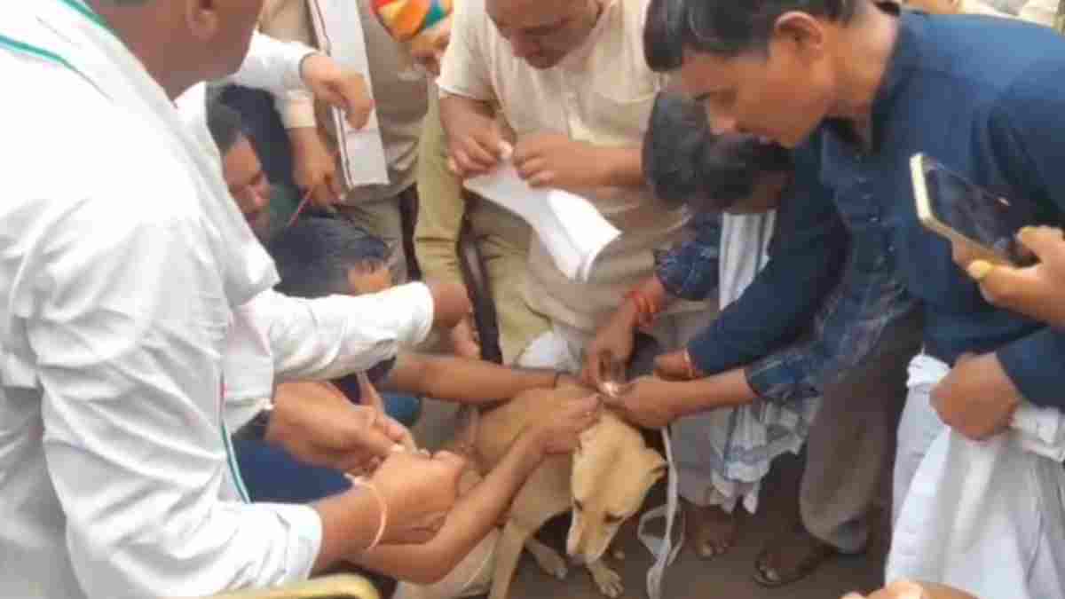खंडवा में किसानों का अनोखा प्रदर्शन: कलेक्टर नहीं मिले तो कुत्ते को सौंपा ज्ञापन; सिटी मजिस्ट्रेट के सामने जताया विरोध, आंदोलन की चेतावनी 