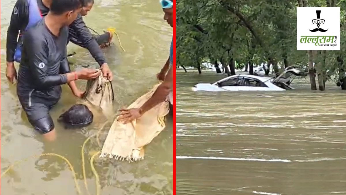 लापरवाही पड़ी भारी : विसर्जन के दौरान डूबने से नाबालिग की मौत… 8 साल की बच्ची नाला में बही… तेज बहाव में फंसी कार
