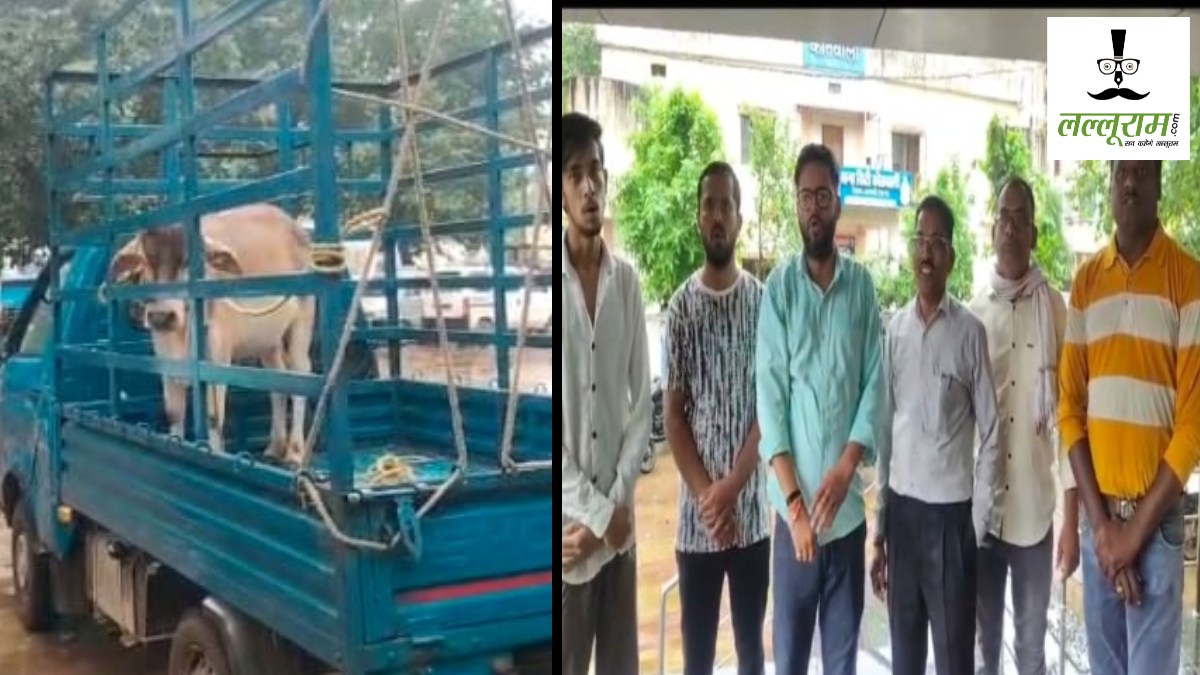 Ajab-Gajab : ‘साहब बैल के खिलाफ ही FIR कर दीजिए’… लोगों की अनोखी फरियाद से पुलिस भी रह गई हैरान, जानिए पूरा मामला