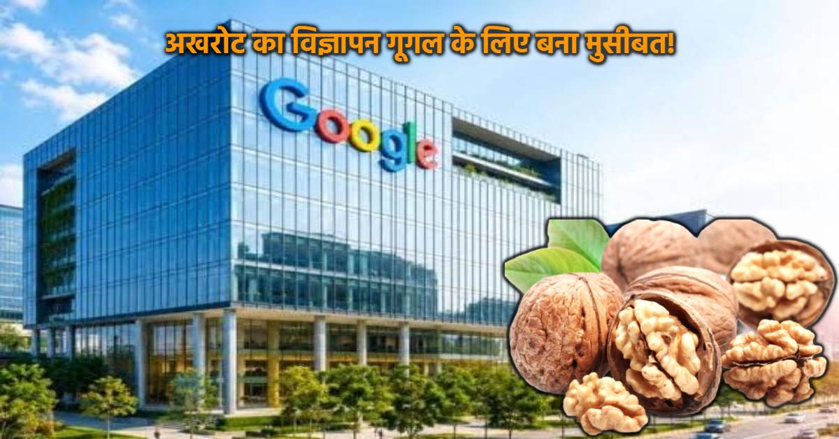 अखरोट पर 87% छूट का विज्ञापन गूगल को पड़ा भारी! उपभोक्ता आयोग ने ठोका तगड़ा जुर्माना, करीब 81 गुना चुकाने होंगे रुपये, ऐसा न करने पर…?